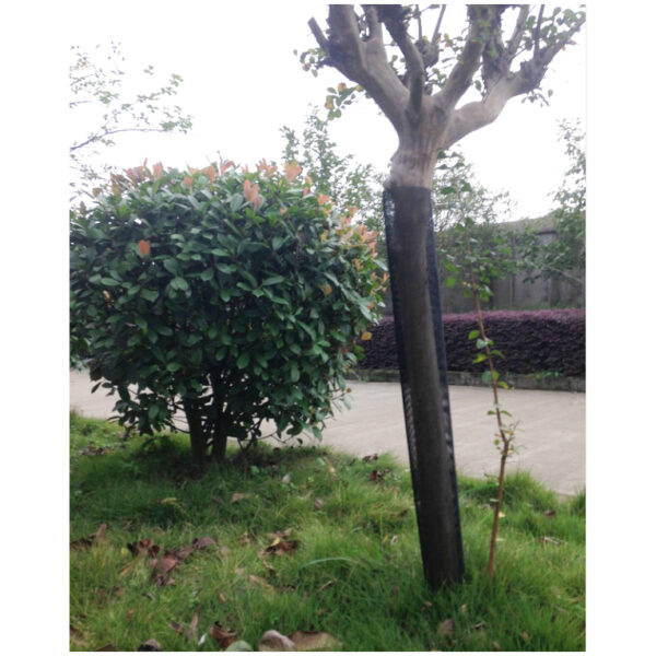 50-110cm tree guards plastic protecting plants welded mesh pp plastic mesh tree guard