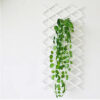 Home Decoration OEM color PVC 1.0m*2.0m expanding trellis flower fence for garden