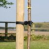 Adjustable heavy duty rose and shrub locking asy-tie inerlock tie 300 rubber garden tree plant tie strap garden